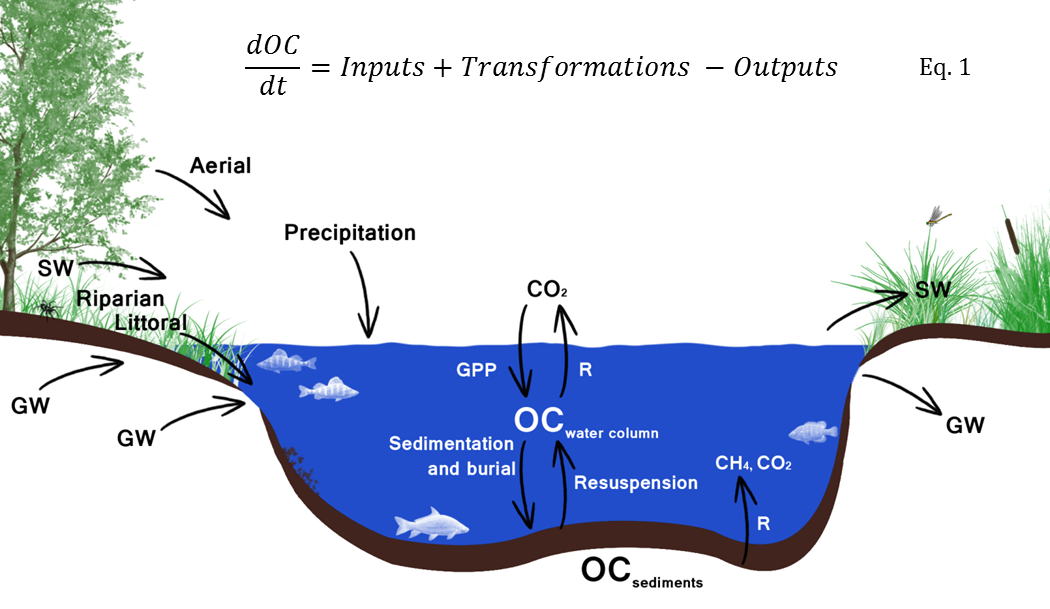 Lake OC Conceptual Model.png